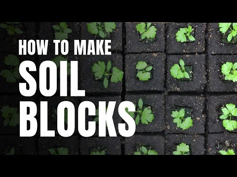 Видео: Как сделать почвенные блоки