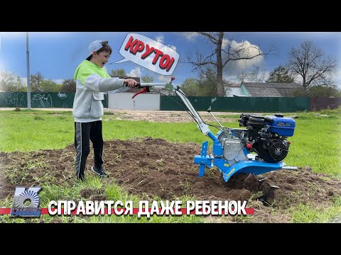 Видео: Мотоблок Нева - насколько легко им работать? Проверяет ребенок...