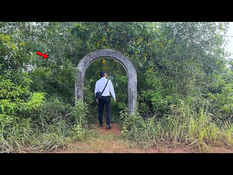 Видео: Генеральный директор уезжает из города, чтобы вернуться в деревню, покупает старый дом, чтобы привес