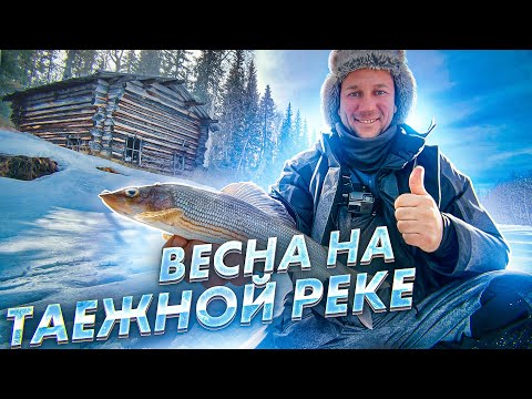 Видео: ТАЙГА.  РЫБАЛКА МЕЧТЫ ПО ПОСЛЕДНЕМУ ЛЬДУ!!! Часть 2