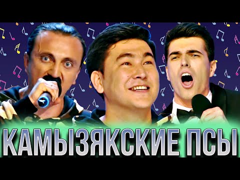 Видео: КВН Камызякские псы/Сборник лучших песен