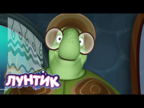 Видео: Лунтик | Черепаха 🐢🐢🐢 Сборник мультиков для детей