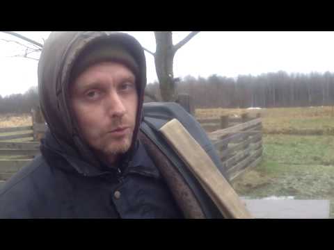 Видео: Хомут для лошади.Примерка,ошибки и возможные последствия.