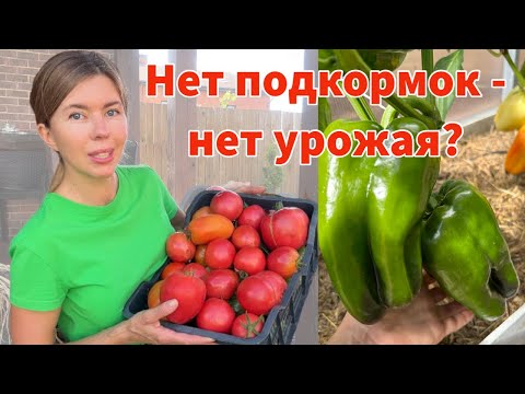Видео: Можно ли вырастить хороший урожай только на природном земледелии?