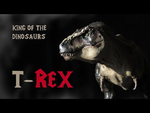 Видео: Sculpting Tyrannosaurus Rex / Лепка тираннозавра рекса