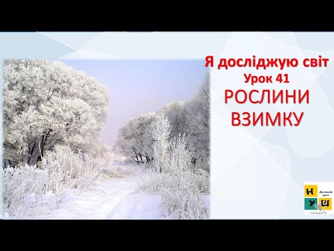 Видео: Я досліджую світ  2 клас Урок 41 РОСЛИНИ ВЗИМКУ Жаркова