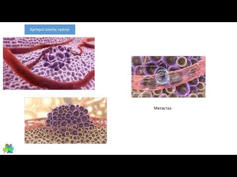 Видео: ҚАТЕРЛІ ІСІК |  РАК АУРУЫ пайда болу (сабақ үзіндісі) онлайн курс