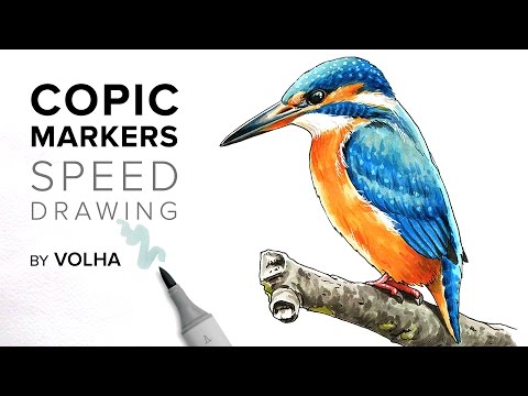 Видео: Copic markers speed drawing #1 / Рисую маркерами Copic зимородка