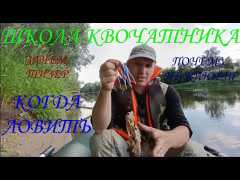 Видео: Советы СОМЯТНИКА \ Тизер \ Почему не клюёт? \ Когда ловить? #квок #сом #сомнаквок