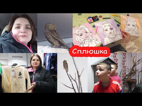 Видео: VLOG Показали сову друзьям. У Кости схватило спину