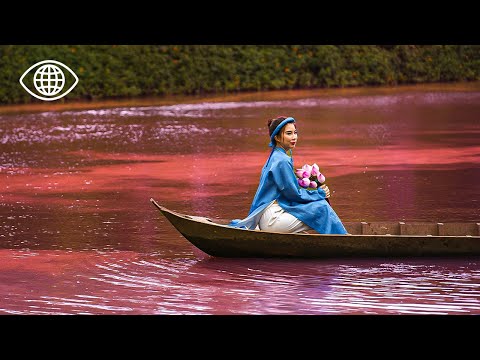 Видео: ВЬЕТНАМ: Путешествие по Красной реке в бухту Халонг | Документальный фильм