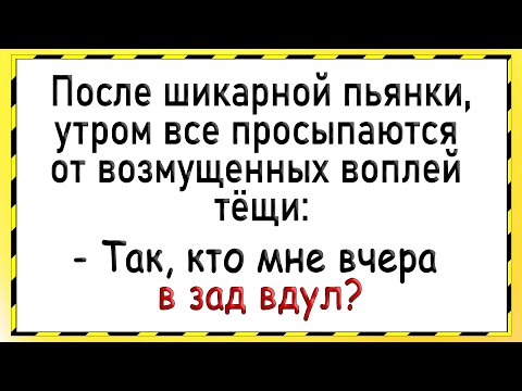 Видео: Как тёще толпой трубы чистили! Сборник свежих анекдотов! Юмор!