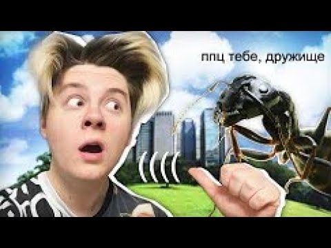 Видео: Компот купил муравьиную ферму