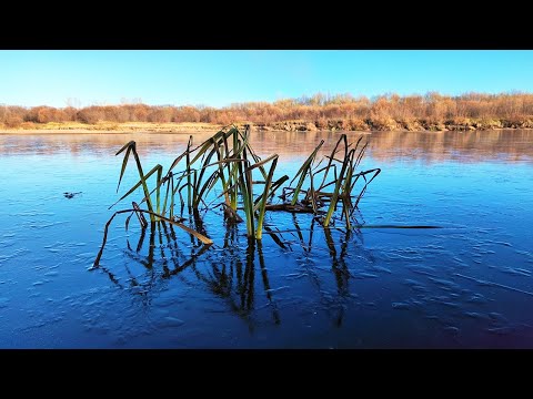 Видео: Рыбалка с ночёвкой и поход на Вятке. Завершение сезона рыбалок по открытой воде в 2024 году.