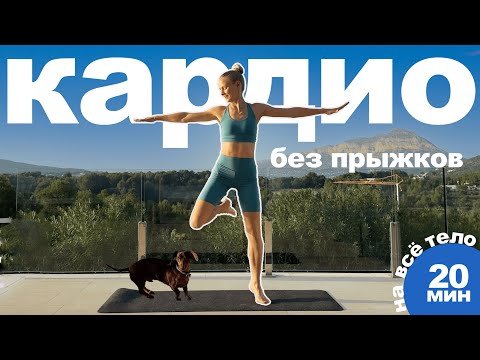 Видео: 20 МИН КАРДИО БЕЗ ПРЫЖКОВ — тренировка на все тело с разминкой,  без инвентаря | PopSport