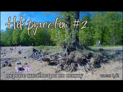 Видео: НеКругосвет #2, часть 1/2: Лахта-центр. Первые километры по пляжу. Жаркий день. Вышли из города.