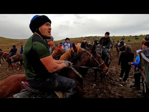 Видео: Аёл киши купкар берди! Отасининг ушалмаган орзуси эди! Көкпар 2023! 1-қисм