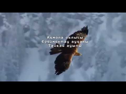 Видео: ЧЕЛЕНДЖ ТАЙБАЙ ауылы