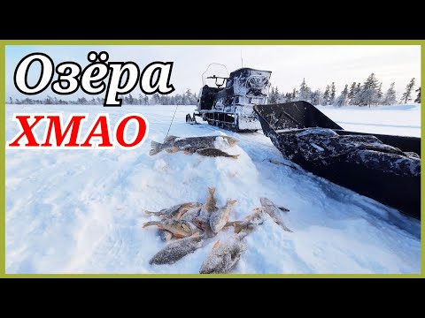 Видео: В этом озере что не опусти в лунку, сразу удар.