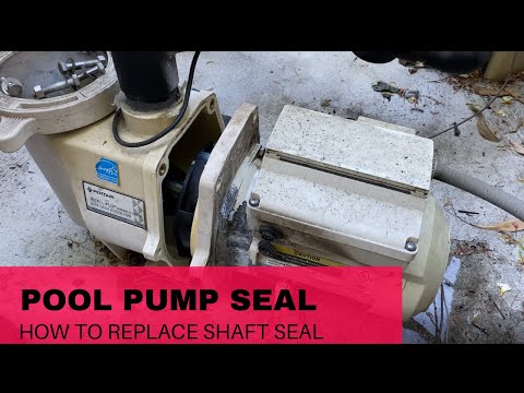Видео: Заменить протекающее уплотнение вала на насосе Pentair для бассейна