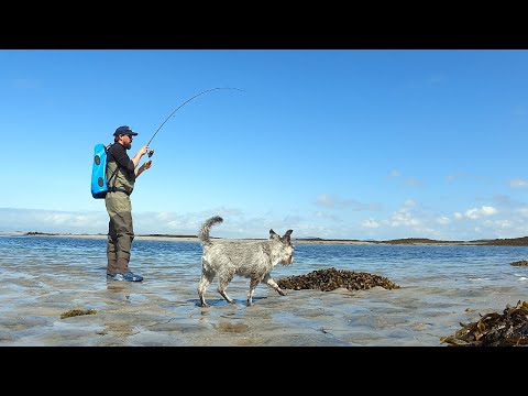 Видео: Ловля морской форели на приманку в Шотландии | Рыбалка на приманку в Великобритании