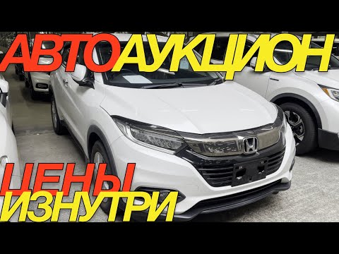 Видео: ЯПОНСКИЕ ТОРГИ 2025 УЖЕ НАЧАЛИСЬ / MAZDA AXELA SPORT HONDA FIT VEZEL TOYOTA COROLLA TOURING AXIO