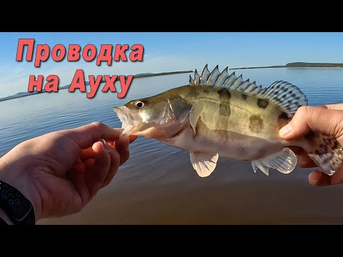 Видео: Открытие лодочного сезона, разгадал проводку на Ауху