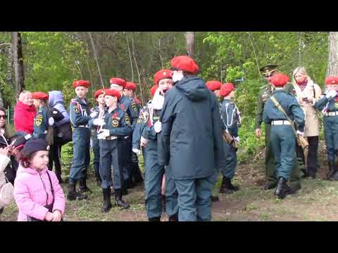 Видео: 9 МАЯ 2024   79 Годовщина Великой Победы над фашизмом