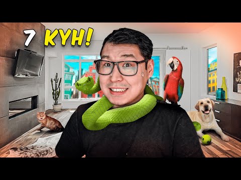 Видео: 7 КҮН ӨМІРІМ ✅
