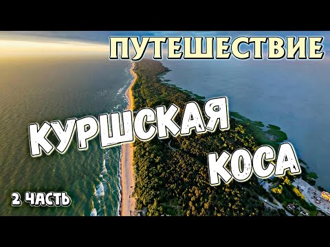Видео: КУРШСКАЯ КОСА | ЗЕЛЕНОГРАДСК | 2 часть