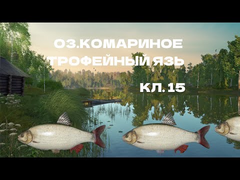 Видео: ТРОФЕЙНЫЙ ЯЗЬ. ОЗ. КОМАРИНОЕ. РУССКАЯ РЫБАЛКА 4