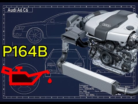 Видео: Audi A6 C6 3.0 TDI ошибки на давление масла