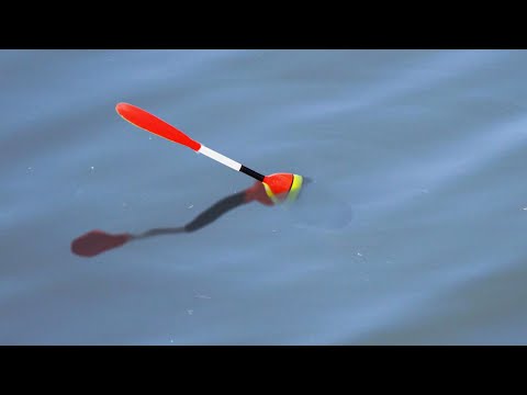 Видео: ХЕРАБУНА - ловля карася по ВОСТОЧНОМУ! КИТАЙСКОЕ ТЕСТО или РУССКАЯ БОЛТУШКА? Что выберет КАРАСЬ?