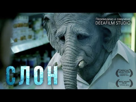Видео: Короткометражный фильм «Слон» | Озвучка DeeaFilm