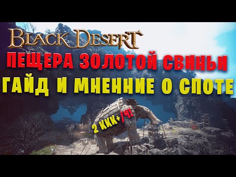 Видео: ПЕЩЕРА ЗОЛОТОЙ СВИНЬИ,  НОВЫЙ ТОПОВЫЙ СПОТ В Black Desert?!