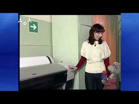 Видео: По секрету всему свету. Журнал. Шишкин Лес 1-я Часть