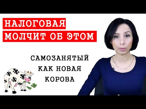 Видео: Самозанятый в чем опасность? Кто может стать? Какие плюсы и минусы!