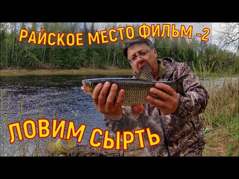 Видео: РАЙСКОЕ МЕСТО .р.ЛУГА . ЛОВИМ СЫРТЬ. АНОМАЛЬНАЯ ПОГОДА .Фильм 2.