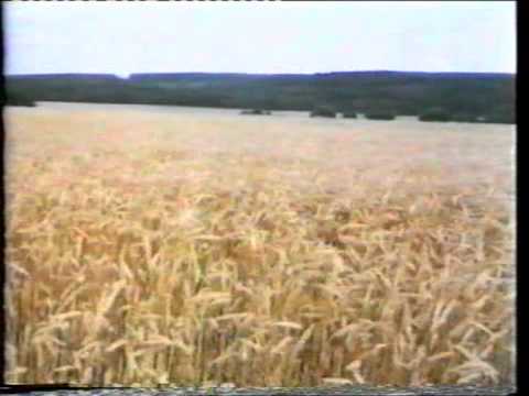 Видео: Избяные песни