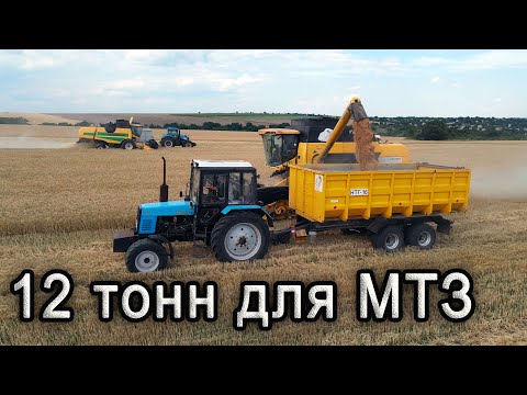 Видео: 12 тонн зерна для МТЗ  не проблема с полуприцепом НТГ-16.