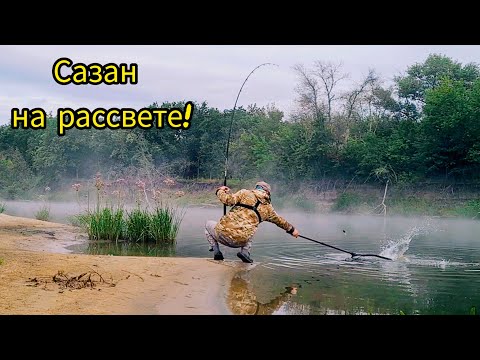 Видео: Сазан на рассвете! Рыбалка на реке с ночевкой - донки, туман и мощные поклевки.