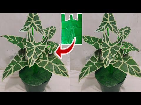 Видео: Как сделать цветок Alocasia из полиэтиленового пакета | Цветочные ремесла