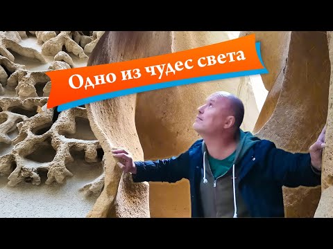 Видео: Удивительный Казахстан || Актау. Ажурный каньон ( Ыбыкты Сай) || Мангистауская область