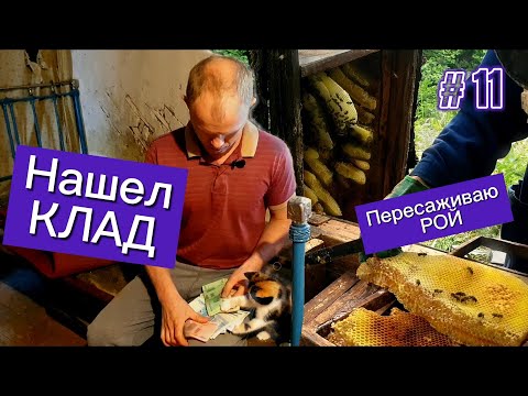 Видео: НАШЕЛ КЛАД. Улучшаю жилищные условия.  Пересаживаю рой.