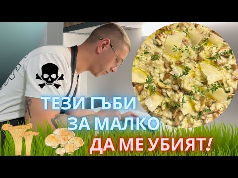 Видео: РИЗОТО С ТРИ ВИДА ГЪБИ И КРЕМА СИРЕНЕ