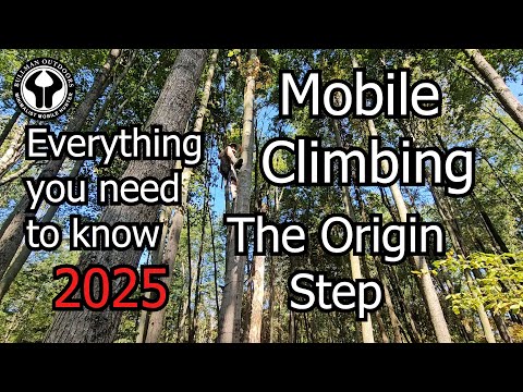 Видео: Шаг «Исходное дерево» — ВСЕ, ЧТО ВАМ НУЖНО ЗНАТЬ!