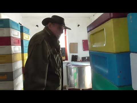 Видео: Щоденник ВПО.  Фільм 3.  Бджолярня