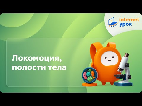 Видео: Локомоция, полости тела. Видеоурок по биологии 7 класс