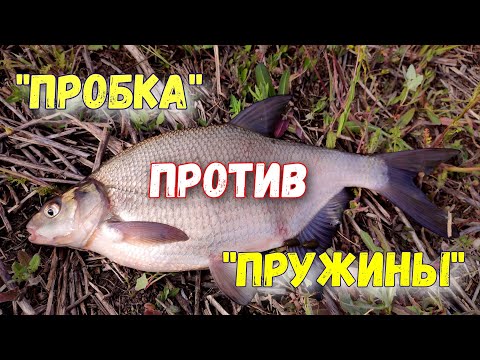 Видео: Снасть "ПРОБКА" против "ПРУЖИН". Рыбалка на ЛЕЩА и КАРАСЯ