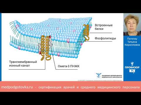 Видео: Восстановление электрической стабильности кардиомиоцитов у пациентов с ИБС